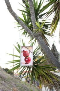 Arden Surdam, Paired pomegranate, 2017